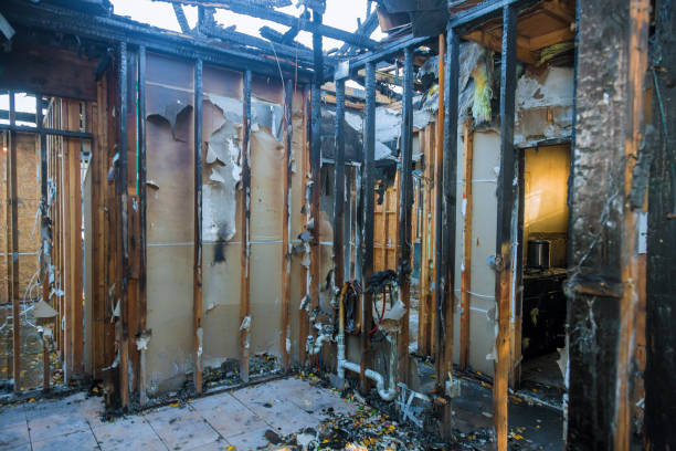 Professional Fire Damage Removal technician working in Le Center, MN